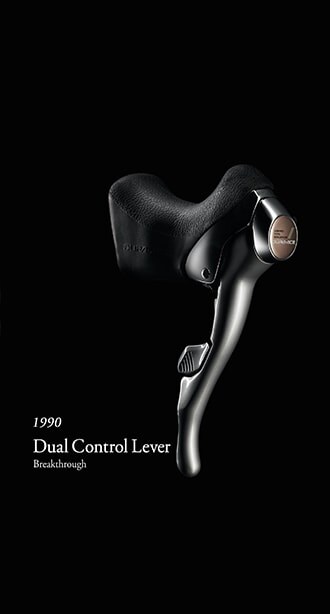 Dual Control Lever