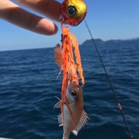 第6回テーマ「自由」イメ―ジ写真