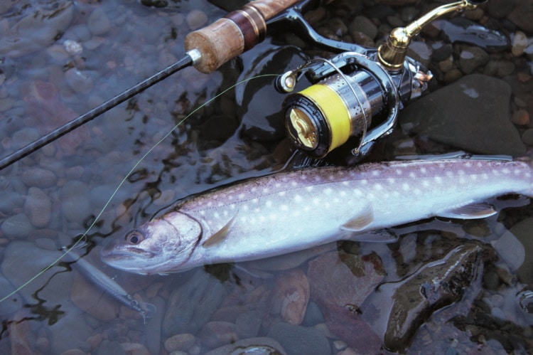 yanmoシマノSHIMANO STELLA 2000 フィッシングリール Shimano 01 Stella FW 2000S Spinning Reel | eBay