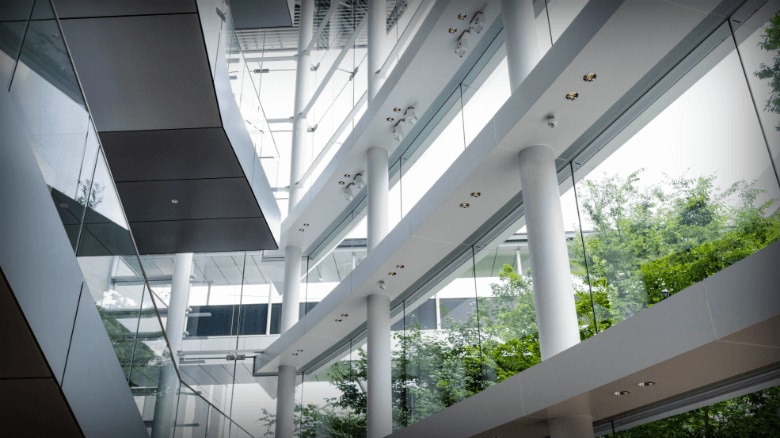 理解力、判断力、語学力を活かして世界をつなぐ